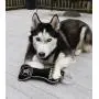 Pets First NFL Las Vegas Raiders Football Dental Tough Dog TUG Bone Toy with Built-in Squeaker Attached to a Safe Rubber Teething Toothbrush PET Toy, Team Color, (OAK-3310), 14 x 5 Pets First NFL Las Vegas Raiders Football Dental Tough Dog TUG Bone Toy with Built-in Squeaker Attached to a Safe Rubber Teething Toothbrush PET Toy, Team Color, (OAK-3310), 14 x 5