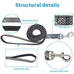 KLCW Dog Harness and Leash Set Back-Clip Dog Harness No Pulling No Choking Step-in Dog Harness, for Small and Medium Size Dogs, Good for Daily Walking and Training