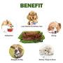 Tylu Dog Snuffle Mat Durable Washable Dog Cat Slow Feeding Mat for Distracting Smell Training Foraging Dog Puzzle Toys
