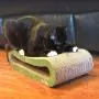 Premium Cat Scratcher by GoPets, Infinity Lounge Corrugated Cardboard is Reversible with Additional Insert to Last 4X Longer, Includes 1 Pack Catnip, Ergonomic Scratching Post, Cutouts to Hide Toys Premium Cat Scratcher by GoPets, Infinity Lounge Corrugated Cardboard is Reversible with Additional Insert to Last 4X Longer, Includes 1 Pack Catnip, Ergonomic Scratching Post, Cutouts to Hide Toys
