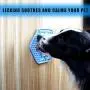 GAPZER Hexagon Dog Lick Mat, Dogs Slow Feeders Lick Pad for Anxiety Relief & Boredom Buster, Pet Training Licking Mat for Pumpkin, Treats, Yogurt GAPZER Hexagon Dog Lick Mat, Dogs Slow Feeders Lick Pad for Anxiety Relief & Boredom Buster, Pet Training Licking Mat for Pumpkin, Treats, Yogurt