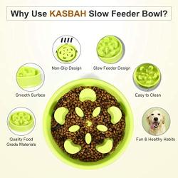 KASBAH Slow Feeder Dog Bowl, Anti-Gulping Dog Bowl Bloat Stop Water Dog Bowl for Small/Medium Dogs