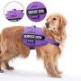 Service Dog Harness, No-Pull Pet Harness Adjustable Outdoor Comfort Dog Vest - 3M Reflective Oxford Breathable Soft Vest with Easy Control Handle for Small Medium Large Dogs Walking