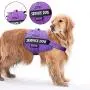 Service Dog Harness, No-Pull Pet Harness Adjustable Outdoor Comfort Dog Vest - 3M Reflective Oxford Breathable Soft Vest with Easy Control Handle for Small Medium Large Dogs Walking