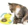 WWYM Spin Windmill Cat Toy, Multifunctional Funny Scratching Cat Hair Brush, Pet Molar Stick- Clean Tooth Brush,Yellow WWYM Spin Windmill Cat Toy, Multifunctional Funny Scratching Cat Hair Brush, Pet Molar Stick- Clean Tooth Brush,Yellow