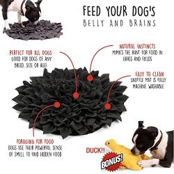 PAW by Seven Snuffle mat and Squeaky Toys for Dogs. Dog Puzzle: Dog Snuffle mat and Duck Dog Toy, Fleece Fabric, Durable, nosework mat, Dog Slow Feeder and Duck Dog Puzzle Feeder. Nosework Supplies