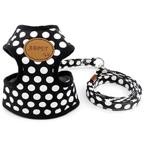 SMALLLEE_Lucky_Store New Soft Mesh Nylon Vest Pet Cat Small Medium Dog Harness Dog Leash Set