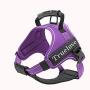 Truelove Dog Harness No-Pull 3M Reflective Stitching Ensure Night Visibility, Outdoor Adventure Big Dog Harness Perfect Match Puppy Vest TLH5753 Now Available in 6 Colors 6 Sizes