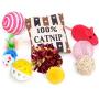 Cat Toys Variety Pack for Kitty 20 Pieces