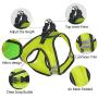 PAWISE Dog Harness No Pull Pet Reflective Mesh Soft Padded Mesh Walking Vest with 2 Leash Clips
