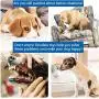 NMGGGU Dog chew Toys Corn Aggressive Chewer Fixed Large Medium Dogs Educational Toy Tooth Brush Indestructible Squeaky Interactive pet Care Teeth Cleaning Toys Upgrade Suction Cup NMGGGU Dog chew Toys Corn Aggressive Chewer Fixed Large Medium Dogs Educational Toy Tooth Brush Indestructible Squeaky Interactive pet Care Teeth Cleaning Toys Upgrade Suction Cup