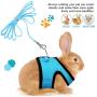 SATINIOR 2 Pieces Guinea Pig Harness and Leash Ferret Rats Hamster Soft Mesh Harness Leash Vest Set with Bell for Small Pet Rabbit Iguana Squirrel Chinchilla