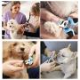 Dudi Dog Nail Clippers for Small Medium Breeds with Nail File - Razor Sharp Stainless Steel Blades - Non Slip Handles - Suited for Small and Medium Animals and Pets