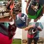 YUDODO Pet Dog Sling Carrier Breathable Mesh Travel Safe Sling Bag Carrier for Dogs Cats YUDODO Pet Dog Sling Carrier Breathable Mesh Travel Safe Sling Bag Carrier for Dogs Cats