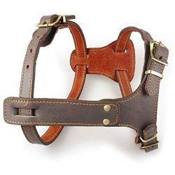 Beirui Leather Dog Harness for Small Medium and Large Dogs