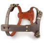 Beirui Leather Dog Harness for Small Medium and Large Dogs