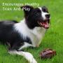 Squeaky Dog Toys for Aggressive Chewers,Interactive Puppy Toys Ball with Squeaker, Almost Indestructible and Durable Pet Chew Toy for Medium and Large Breed 