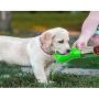 Newthinking Dog Water Bottle for Walking, Portable Dog Water Travel Dispenser with Food Container, Poop Shove and Waste Bag for Pets Outdoor Walking, Hiking, Travel