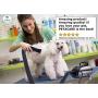 PETACARE Professional PET Hand Dryer with Smart LED Screen. Super Powerful Dog Grooming Blower, Not Vibrating and Never Get Rust, for Private/Business Use, Whole Year Warranty! (110V)