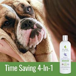 Pure and Natural Pet - 4-in-1 Daily Shampoo Lavender and Chamomile 16 oz. (PN259)