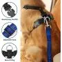 AUTOWT Dog Safety Vest Harness, Pet Car Harness Dog Safety Seatbelt Breathable Mesh Fabric Vest with Adjustable Strap for Travel and Daily Use in Vehicle for Dogs Puppy Cats AUTOWT Dog Safety Vest Harness, Pet Car Harness Dog Safety Seatbelt Breathable Mesh Fabric Vest with Adjustable Strap for Travel and Daily Use in Vehicle for Dogs Puppy Cats