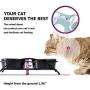 Y YHY Cat Food Bowls, Raised Cat Bowls for Food and Water, Ceramic Cat Bowls Elevated, Cat Dishes for Cat or Small Dogs,12 Ounces, Cute Cat Design, Dishwasher Safe