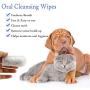 GARYOB Pet Dental Fingers Wipes, 50 Wipes & Pet Dental Fingers Wipes 50 Wipes