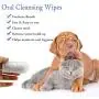 GARYOB Pet Dental Fingers Wipes, 50 Wipes & Pet Dental Fingers Wipes 50 Wipes GARYOB Pet Dental Fingers Wipes, 50 Wipes & Pet Dental Fingers Wipes 50 Wipes