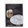 Lupine 3/4 Inch No Pull Harness for Small and Medium Dogs