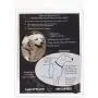 Lupine 3/4 Inch No Pull Harness for Small and Medium Dogs Lupine 3/4 Inch No Pull Harness for Small and Medium Dogs