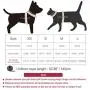 Aumuca No Pull Dog Harness Reflective Step in Small Dog Harness Easy Control Handle for Walking Dog Harness Medium Soft Mesh Adjustable Dog Harness for Small Medium Large Dogs