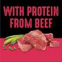 CRAVE Grain Free High Protein Adult Dry Dog Food, Beef & Chicken