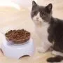 Luck Dawn Double Cat Dog Bowls Elevated Cat Food Water Bowls with Raised Stand 15° Tilted Raised Slow Feeder Bowl Water Dispenser Stress Free for Cats and Small Dogs
