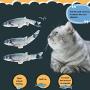 Running Pet 2 Pack Cat Wagging Fish,Plush Simulation Electric Doll Fish,Flopping Fish Cat Toy,Cat Kicker Fish Toy,Cat Catnip Toys,Fish Shape Doll Interactive Pets Pillow Chew Bite Toy((USB Charging)