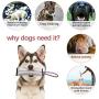 Tough Dog Toys for Aggressive Chewers,Dog Chew Toys,Dog Tug Toy,Firehose Dog Toys,Interactive Dog Toys for Large Dogs,Dog Squeaky Toys with Strong Cotton Rope Handle,Pet Toys for Small Dog Toys Pack 2