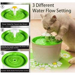 Automatic Pet Water Fountain Dispenser | Cat Drinking Water Dispenser