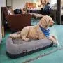 YETI Trailhead Two-in-One Dog Bed, Charcoal
