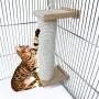 ZARYIEEO Cat Scratching Post, Cage Mounted Cat Activity Tree, Cat Furniture, Claw Scratcher Post Covered with Natural Sisal Rope, Cat House Accessory Scratching Pole for Kitten ZARYIEEO Cat Scratching Post, Cage Mounted Cat Activity Tree, Cat Furniture, Claw Scratcher Post Covered with Natural Sisal Rope, Cat House Accessory Scratching Pole for Kitten