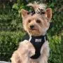 Doggie Design Amercan River Ultra Choke-free Harness (Black, Medium (Chest 16''-19'' Weight 11-16 Lbs)) Doggie Design Amercan River Ultra Choke-free Harness (Black, Medium (Chest 16''-19'' Weight 11-16 Lbs))