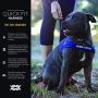 EzyDog Quick Fit No Pull Adjustable Harness Vest (Small, Black) and EzyDog Click - Car Seatbelt Harness Attachment (17.5in - 26in)
