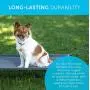 Paws & Pals Elevated Dog Bed, Portable Raised Pet Cot Platform with Steel Frame and Lifted Cooling Mesh Hammock Best for Dogs, Puppy & Cat Indoor or Outdoor Use, Medium Suspended Trampoline 32” x 25” Paws & Pals Elevated Dog Bed, Portable Raised Pet Cot Platform with Steel Frame and Lifted Cooling Mesh Hammock Best for Dogs, Puppy & Cat Indoor or Outdoor Use, Medium Suspended Trampoline 32” x 25”