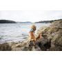 Embark Sports Dog Harness, Light and Breathable Design - Easy On and Off, No Pull Training, Size Adjustable, Non Choke with Handle for Control