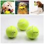 ALL FOR PAWS Hyperfetch Ultimate Throwing Toy (Mini Style)