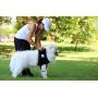Pfaff Medical Dog Carrier/Lifting Front Harness for Elderly or Injured Dogs (Extra Large)