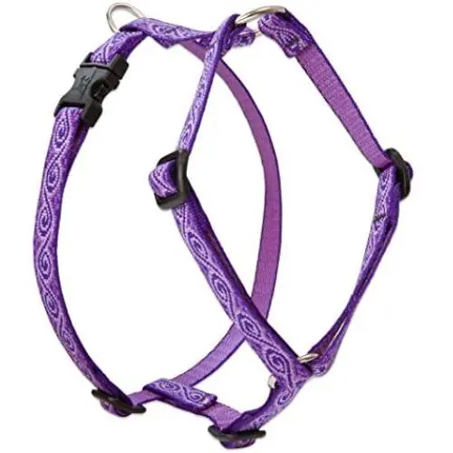 Lupine Jelly Roll Roman Harness for Small Dogs Lupine Jelly Roll Roman Harness for Small Dogs