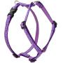Lupine Jelly Roll Roman Harness for Small Dogs