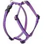 Lupine Jelly Roll Roman Harness for Small Dogs Lupine Jelly Roll Roman Harness for Small Dogs