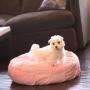 Teafco Otto Pet Bed with Heat Relief Padding, Pink, Round