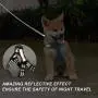 risdoada No Pull Dog Harness with Leash, Soft Breathable Mesh Puppy Chest Harness, Step-in Pet Vest Harness for Small Medium Large Dogs