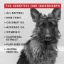 PRIDE AND GROOM - The Sensitive ONE, Bottle of Pet Shampoo, 16 oz.